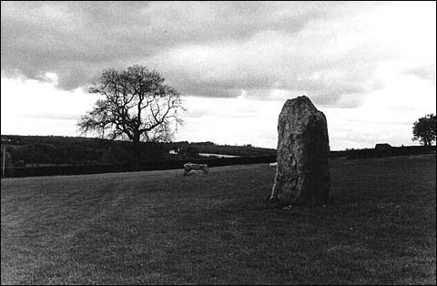 Standing stone at Newgrange.