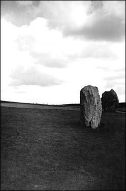 Black and white photograph of standing stones at Newgrange.